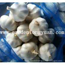 New Crop Pure White Garlic